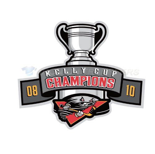 Cincinnati Cyclones Iron-on Stickers (Heat Transfers)NO.9237